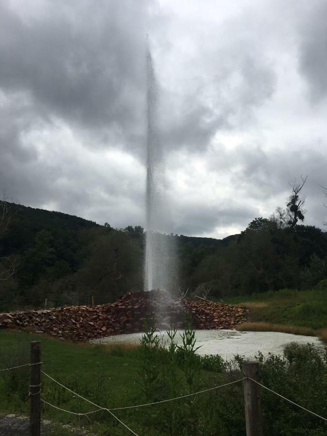 Gasthaus Stammbaum Andernach Exteriér fotografie